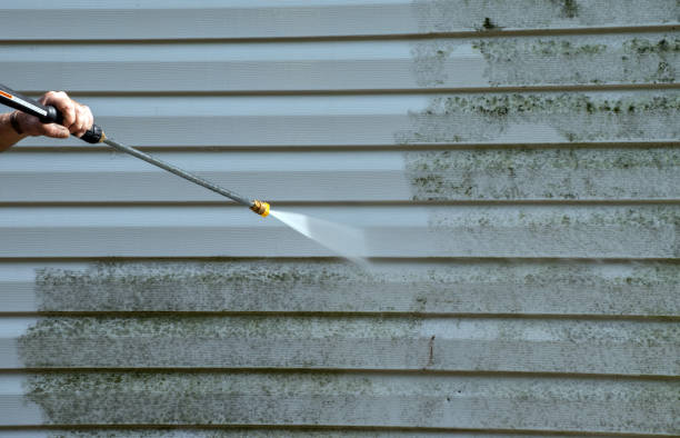Best Fence Cleaning  in Beach Haven, NJ